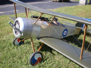 ray3a.jpg