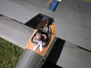 ray5a.jpg