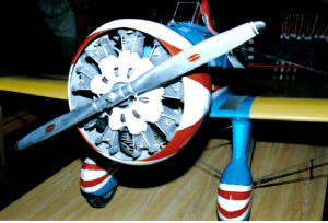 ray6.jpg