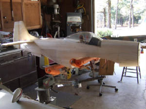 rayp-51d-1.jpg